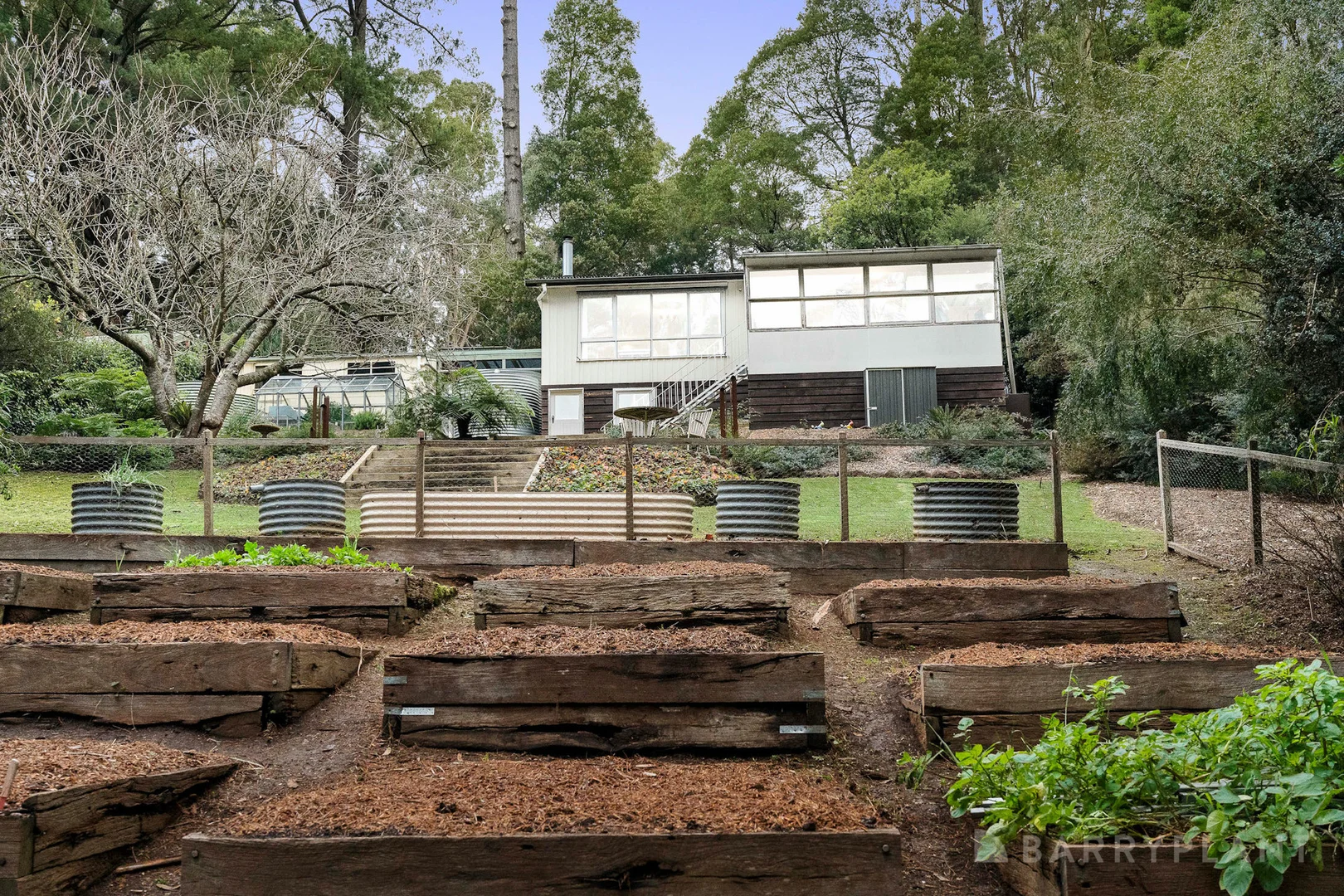 Image 15