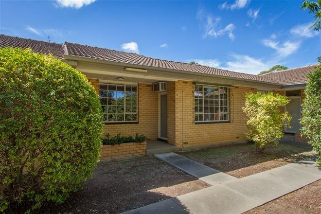 Picture of 6/271A Goodwood Road, KINGS PARK SA 5034