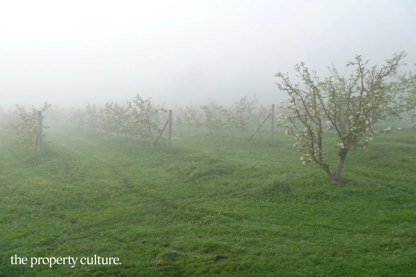 Additional image 33 of 25 Triffets Lane, Castle Forbes Bay TAS 7116