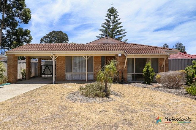 Picture of 6A Jay Grove, BALLAJURA WA 6066