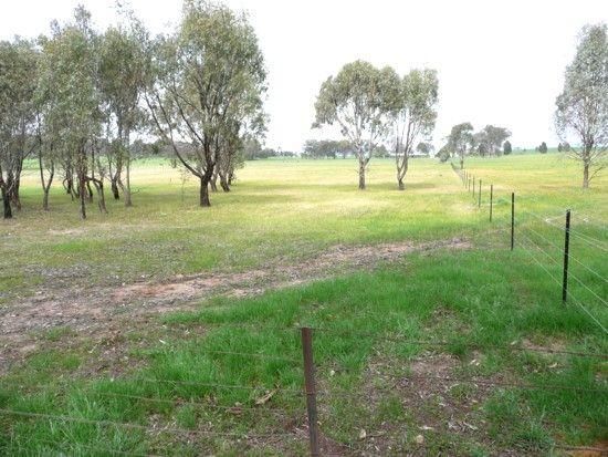 Lot 1 Thomas St, Gerogery NSW 2642, Image 2