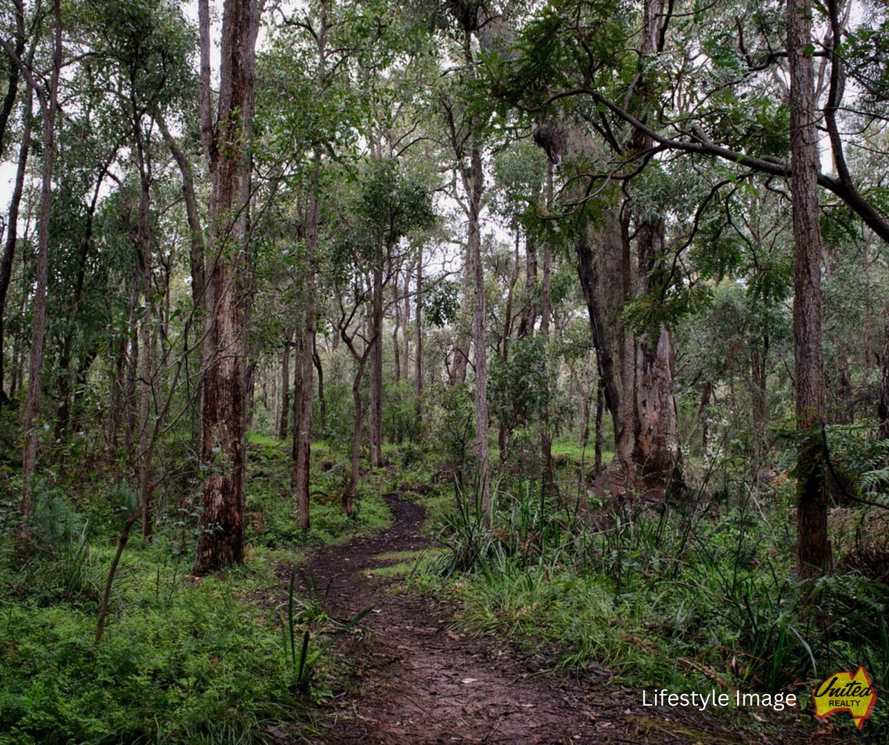 Lot 46 Jerrong Road, Wiarborough NSW 2580, Image 0