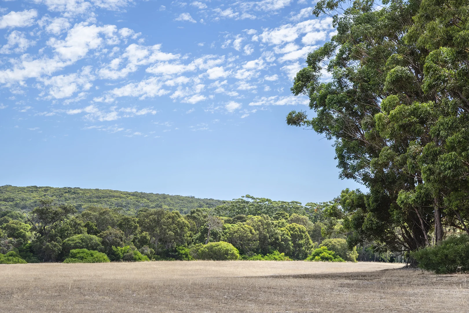 Additional image 9 of Lot 60 Vidler Road, Naturaliste WA 6281