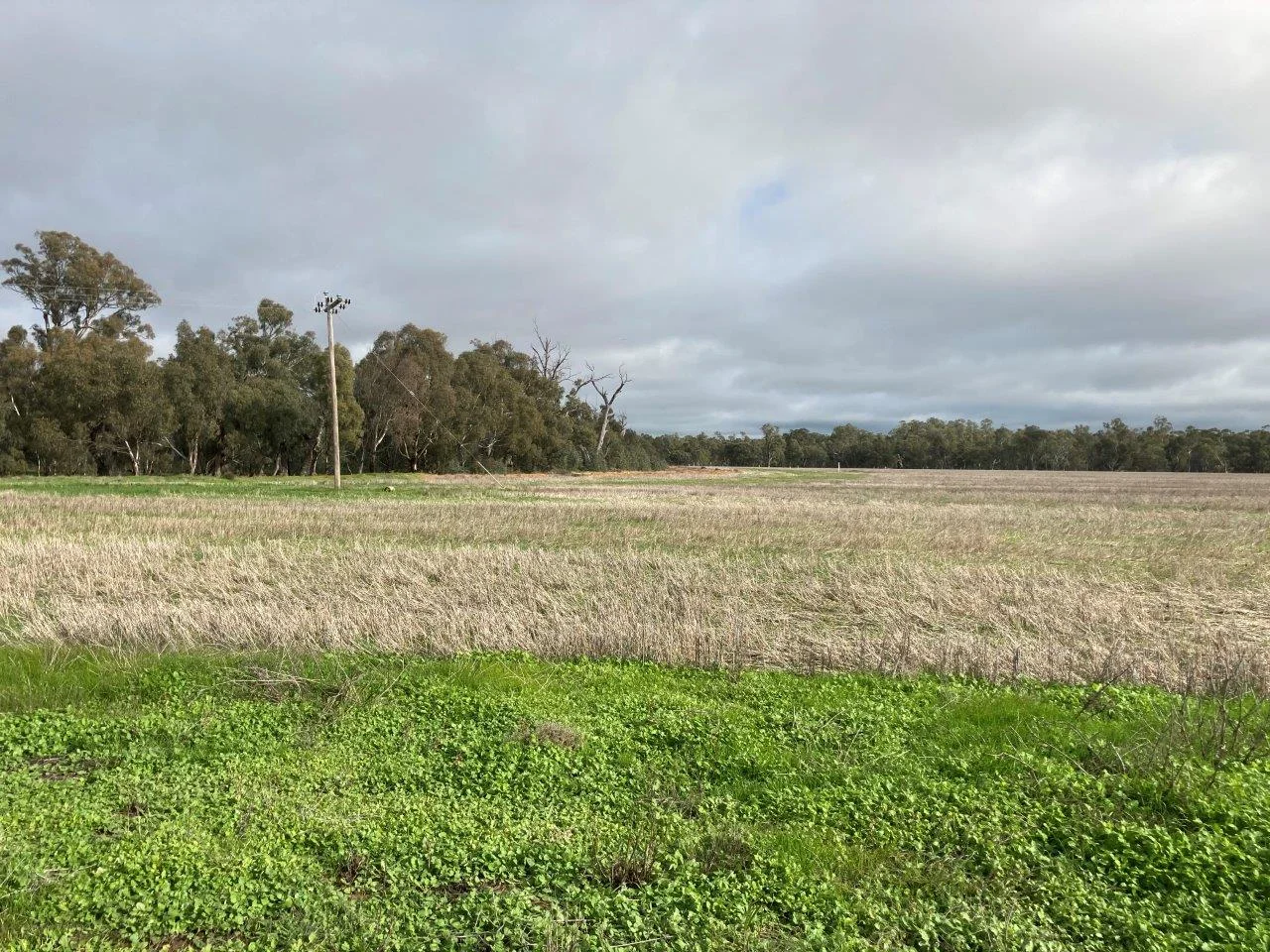 Image 10