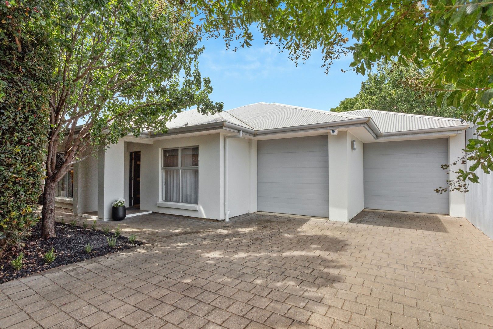 29A Devon Street North, Goodwood SA 5034, Image 0