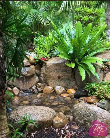 Image 19
