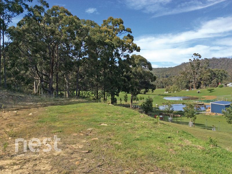 3 Bruny Island Main Road, Lunawanna TAS 7150, Image 2