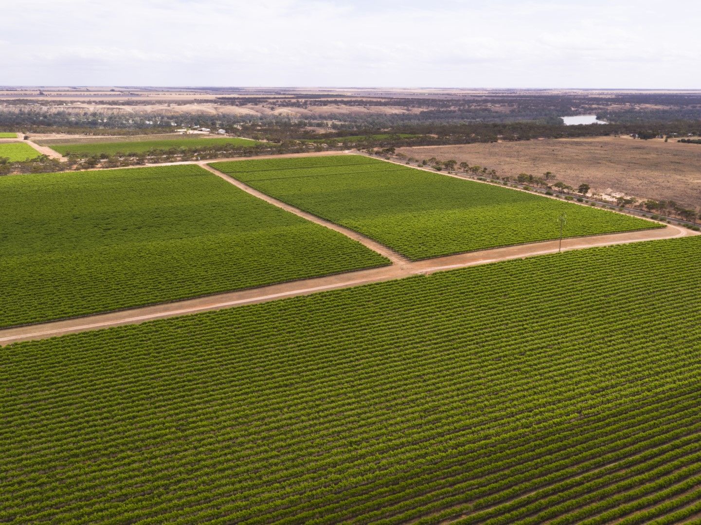 Glen Devlin Vineyard Goyder Highway, Devlins Pound SA 5330, Image 0