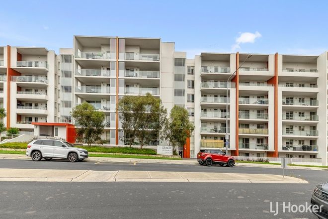 Picture of 290/80 Chandler Street, BELCONNEN ACT 2617