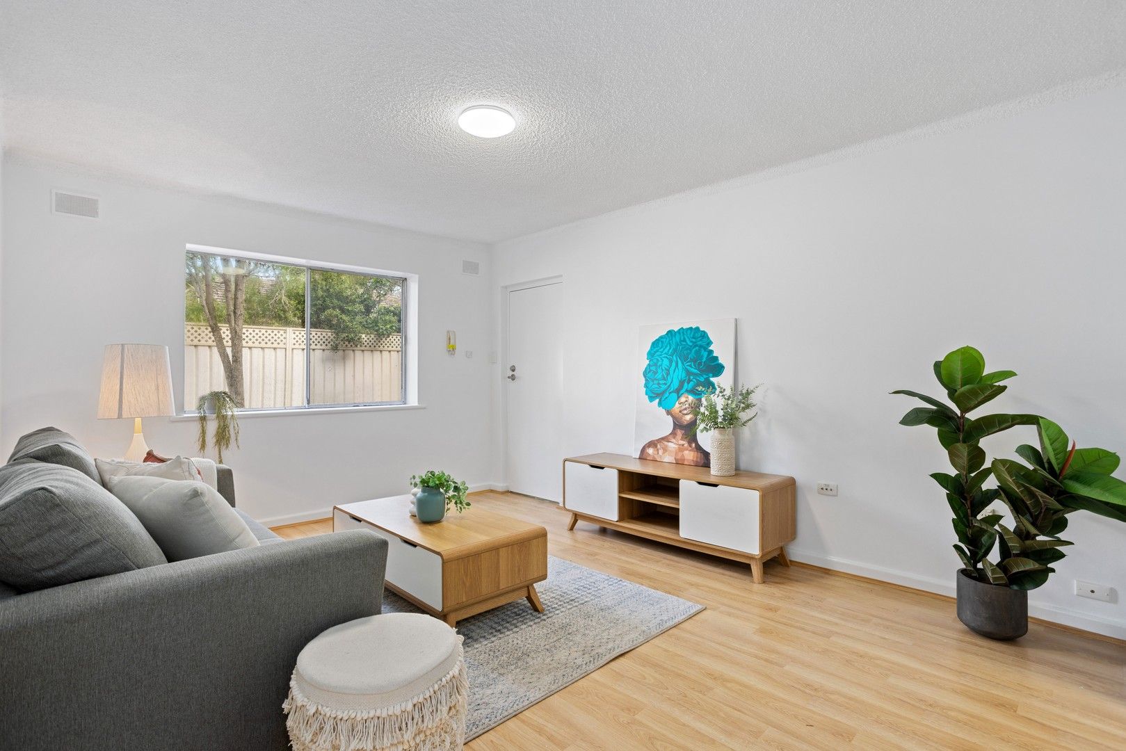 3/59 Ashbrook Avenue, Payneham SA 5070, Image 0