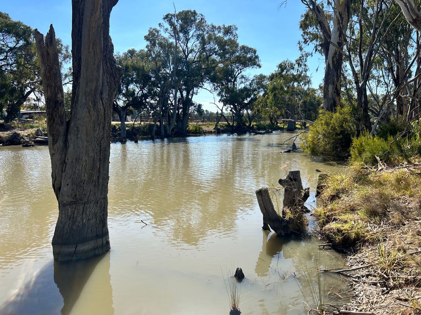 39 Vinecombe Lane, Barham NSW 2732, Image 1