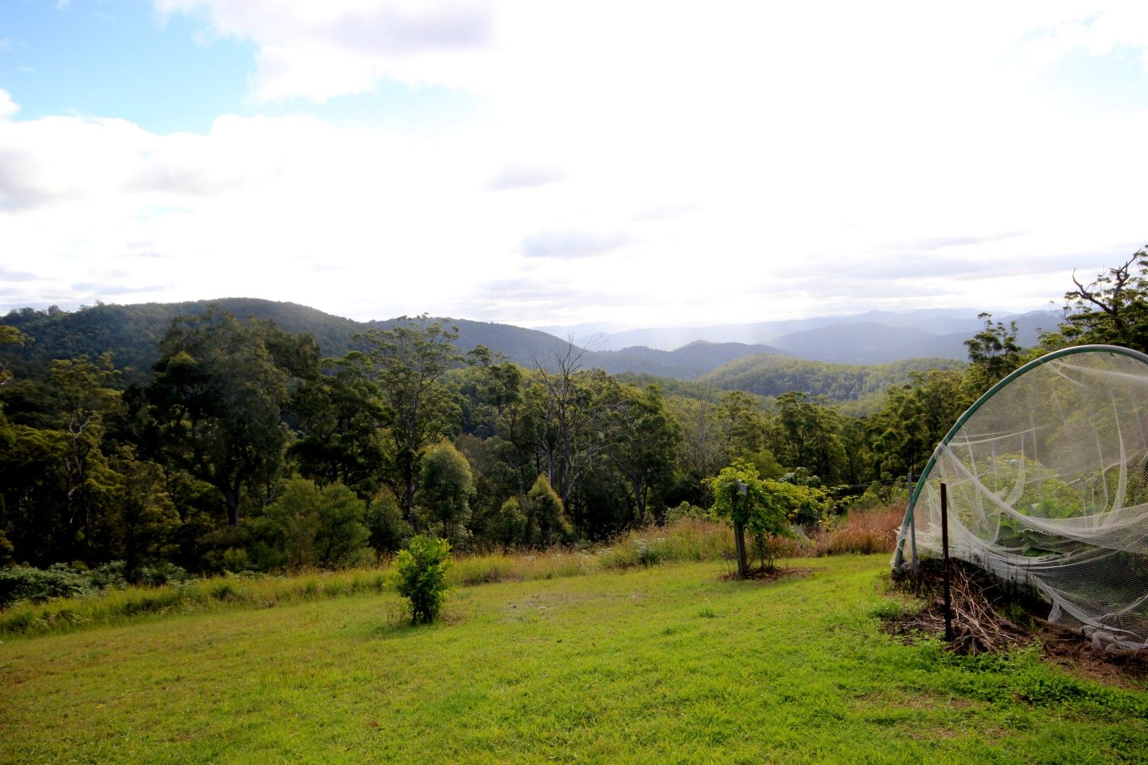 Lot 11 Toms Creek Road, Toms Creek NSW 2446, Image 0