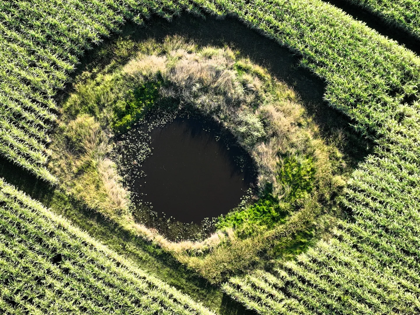 Image 24