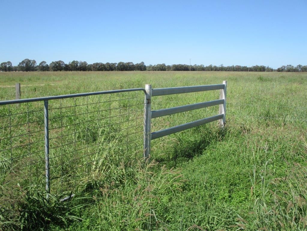 "GLENCOE" 1279 ACRES, Chinchilla QLD 4413, Image 2