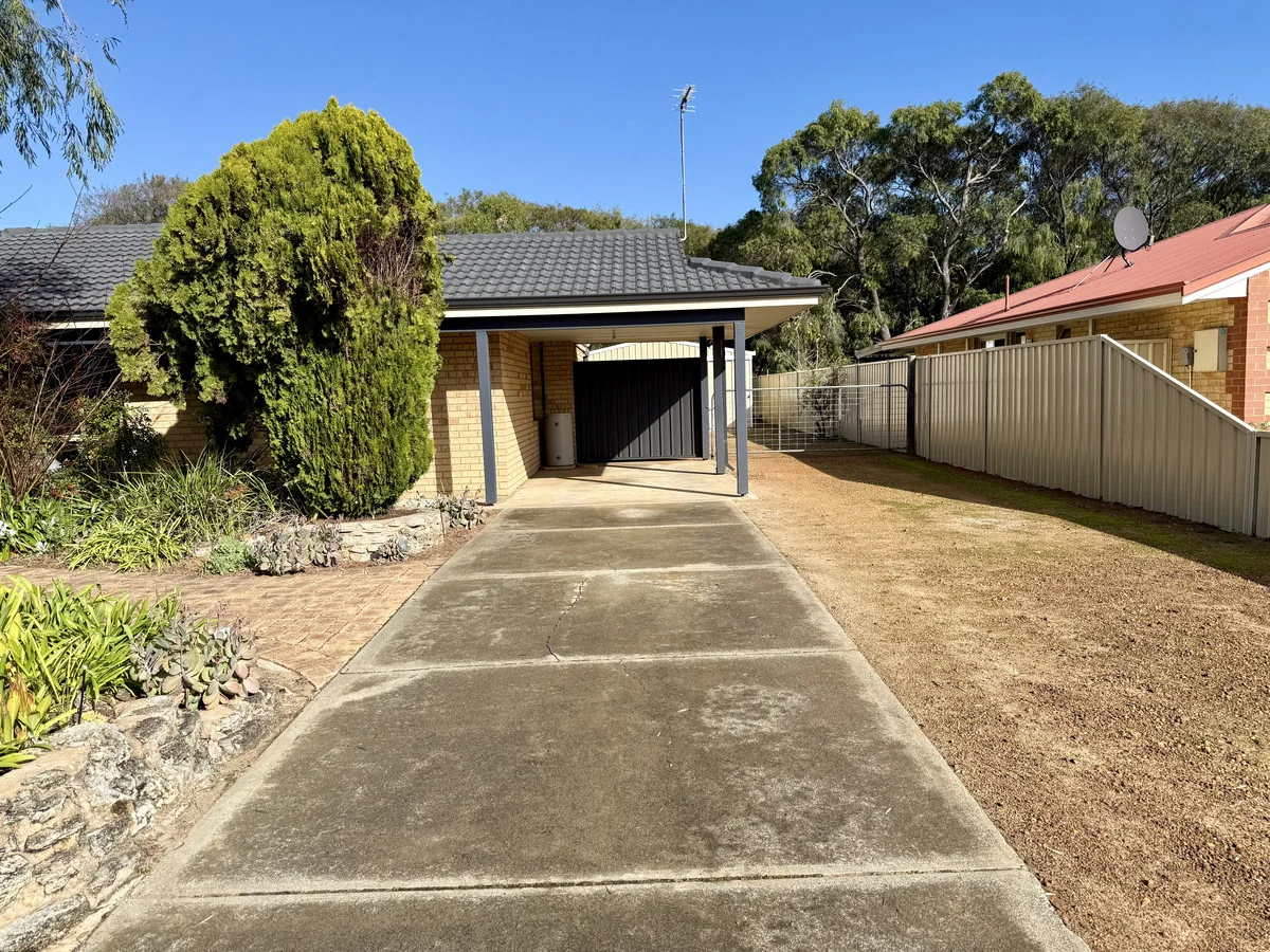 Image 25