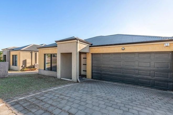 78 Rental Properties In Innaloo Wa 6018 Domain