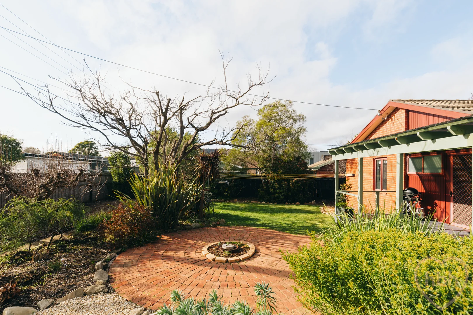 Image 19