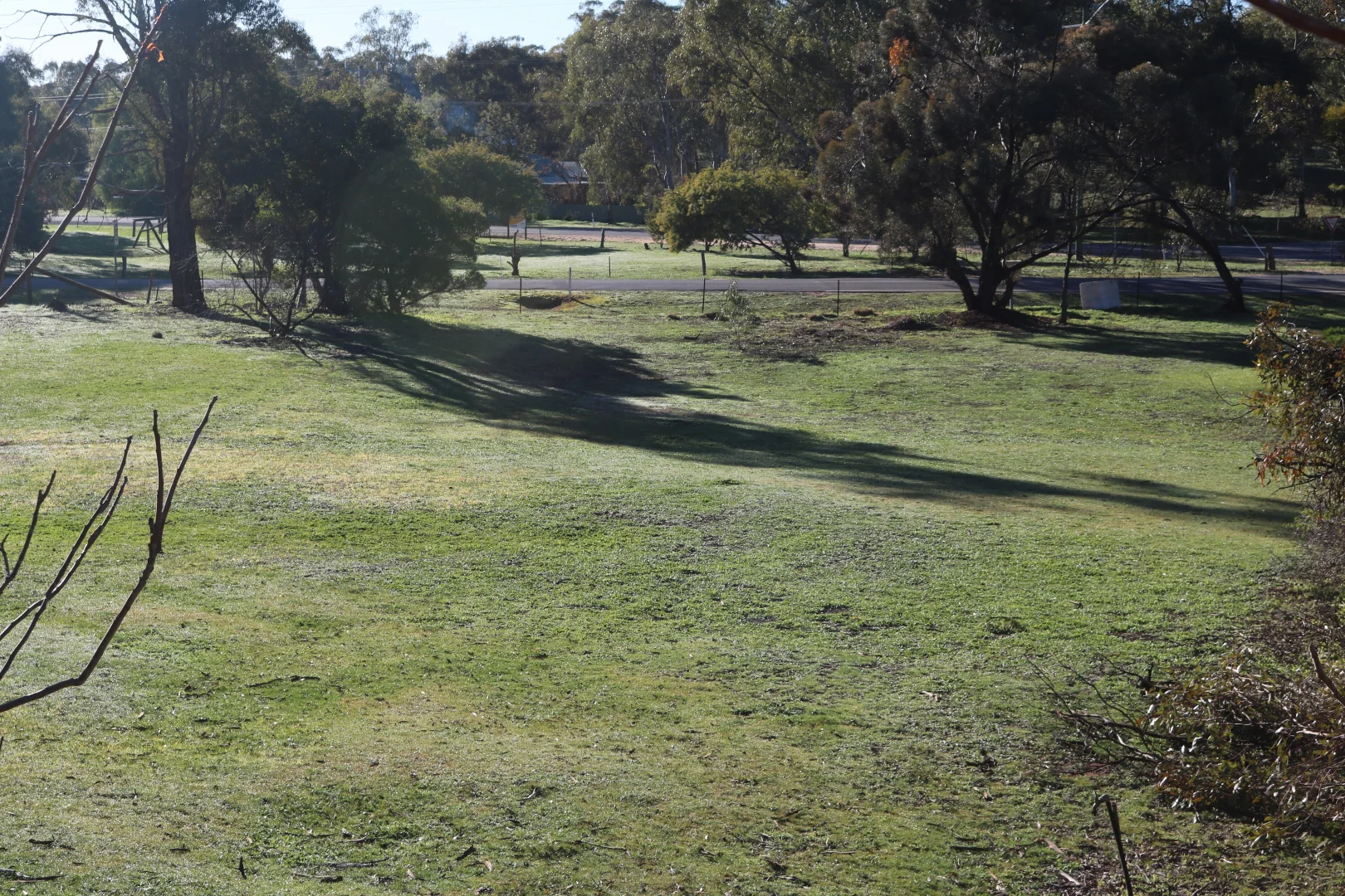 Image 13