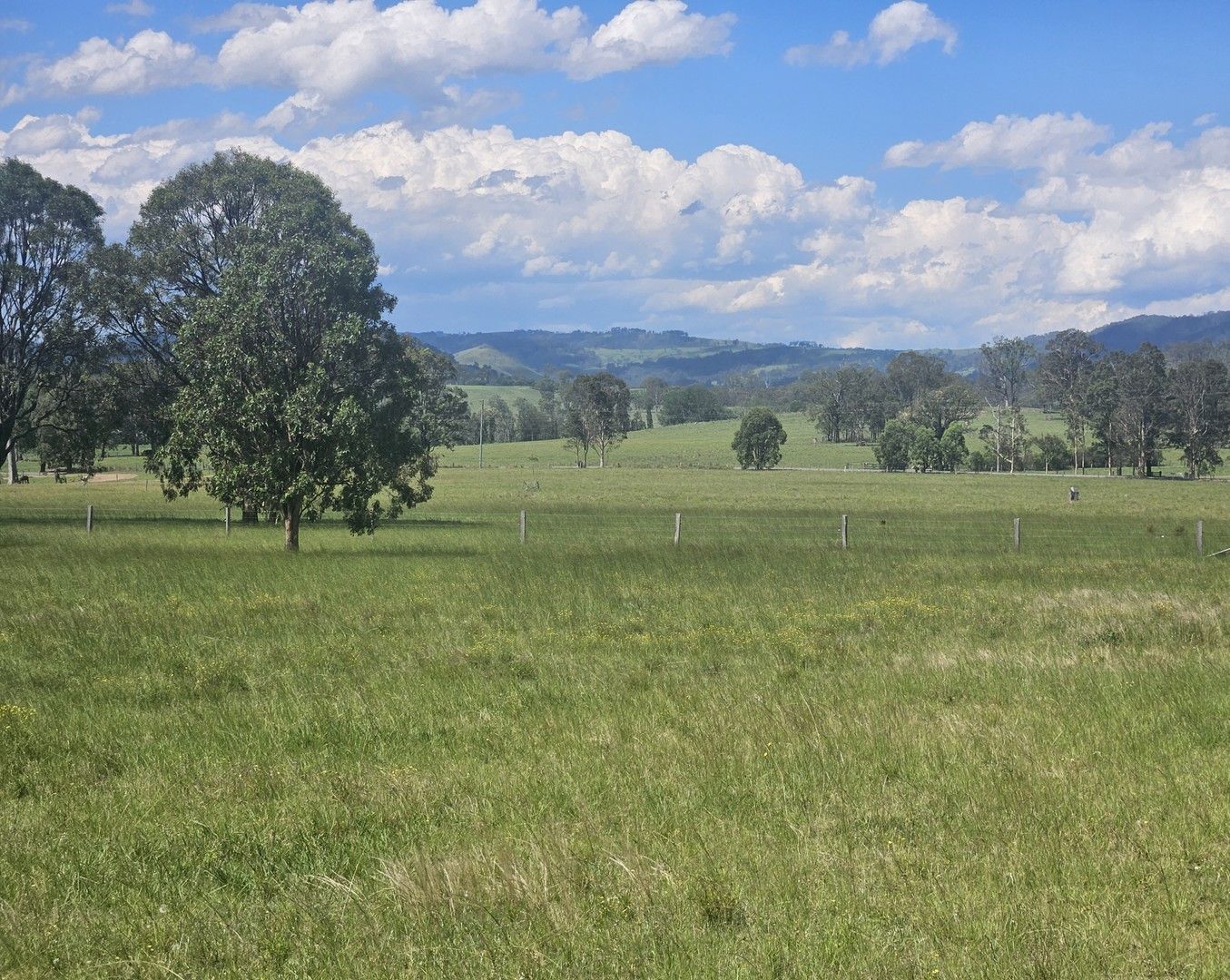 1443 Gresford Road, Vacy NSW 2421, Image 0