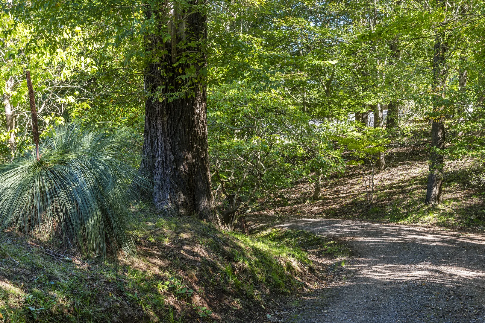 Additional image 39 of 165 Zig Zag Road, Mount Macedon VIC 3441