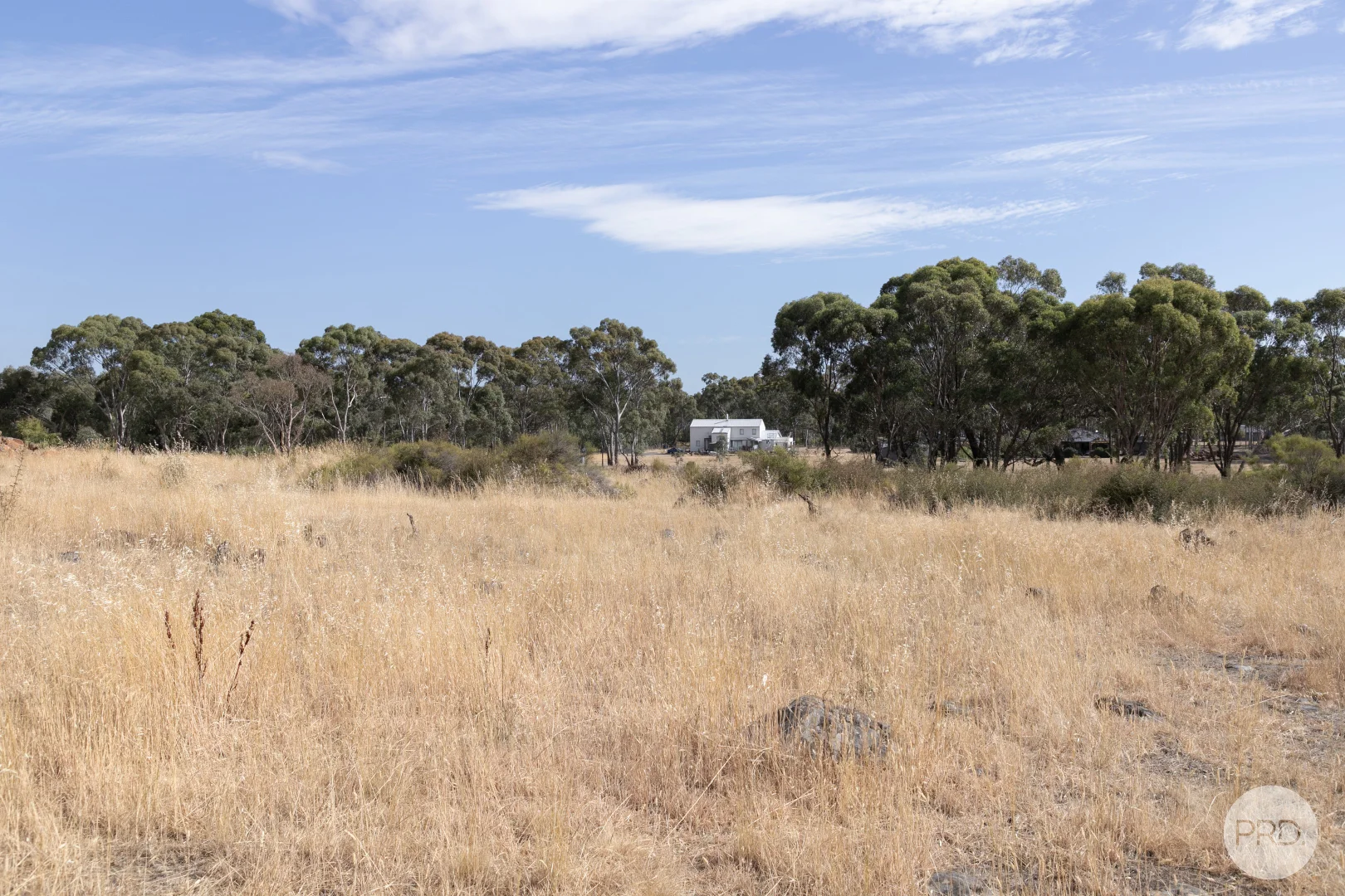 Image 15