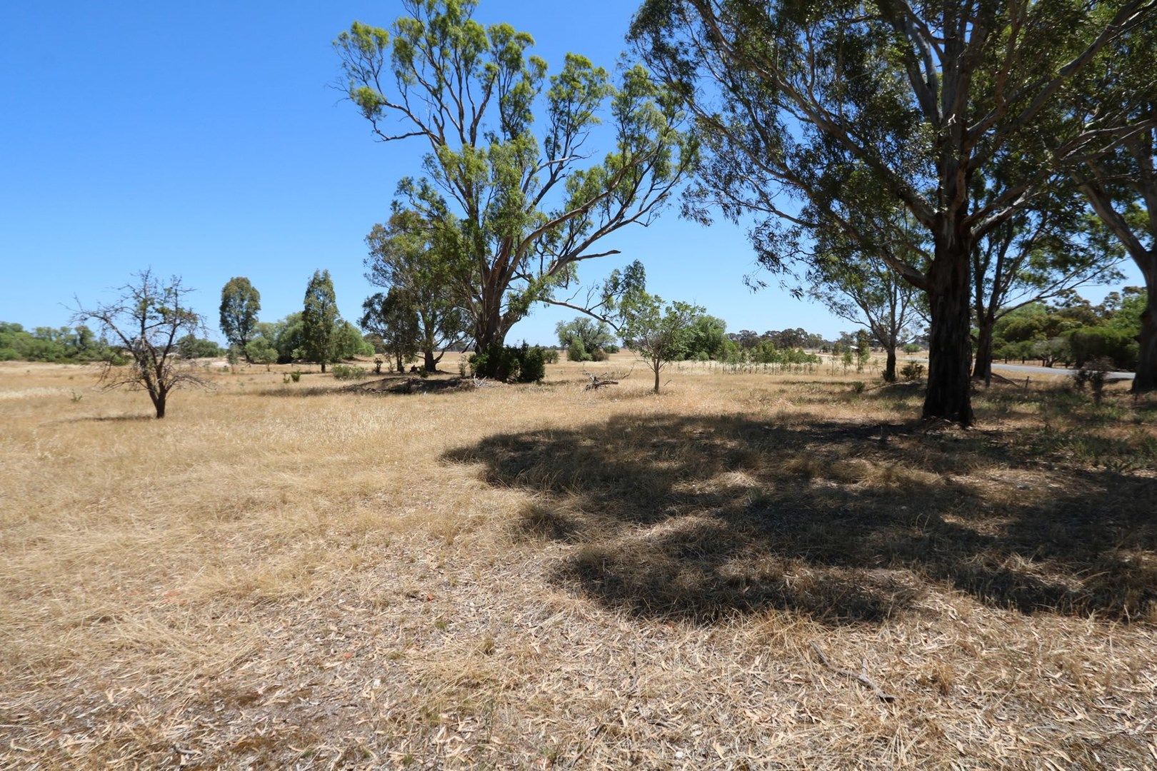 . Timor Road, Bowenvale VIC 3465, Image 0