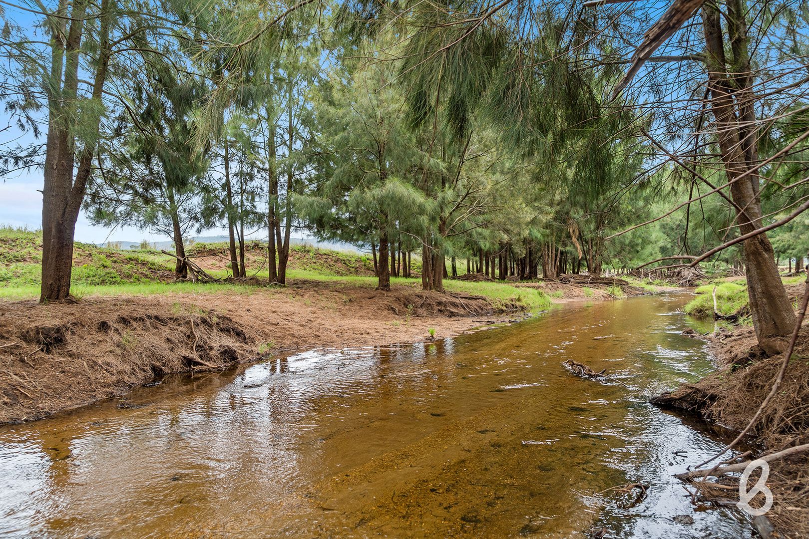 1030 Martindale Road, Martindale NSW 2328 House for Sale Domain