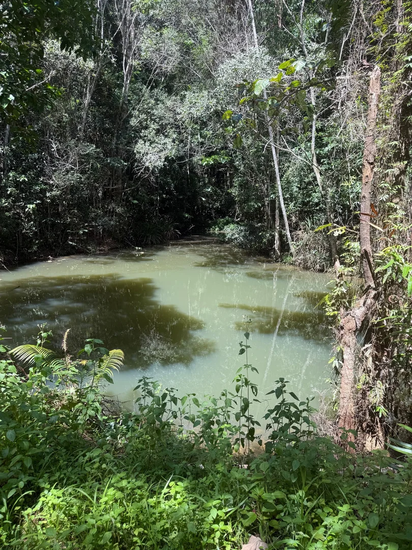 Additional image 9 of 48 Sanctuary Close, Speewah QLD 4881