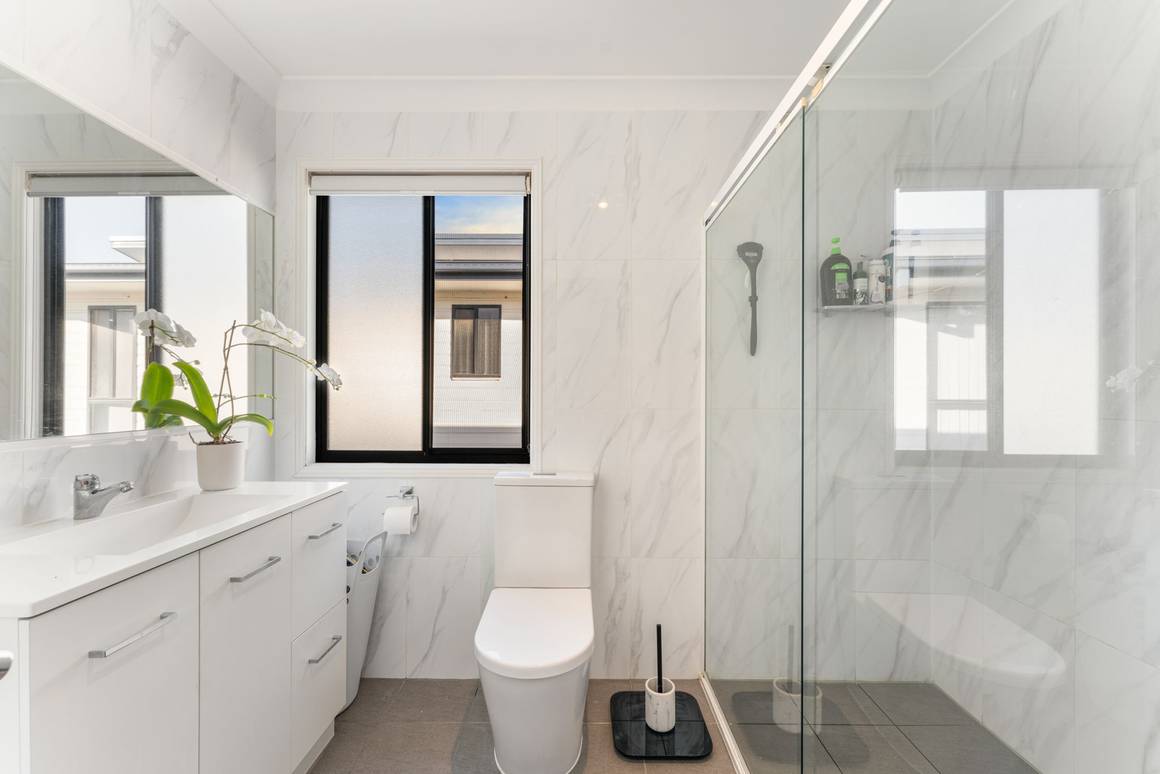 14 Congo Circuit Springfield 4300 - Image 5