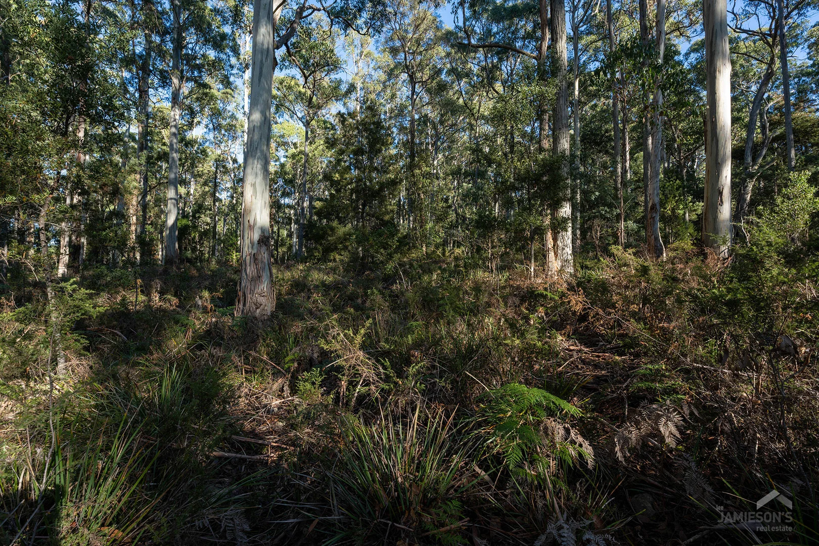 Image 18