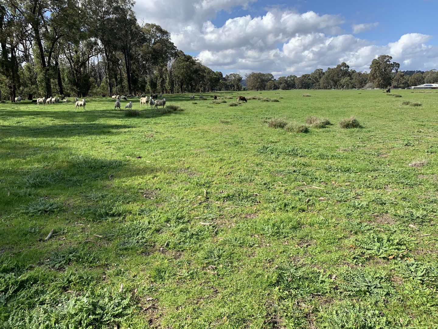 Lot 408 South Western Highway, Yarloop WA 6218, Image 2