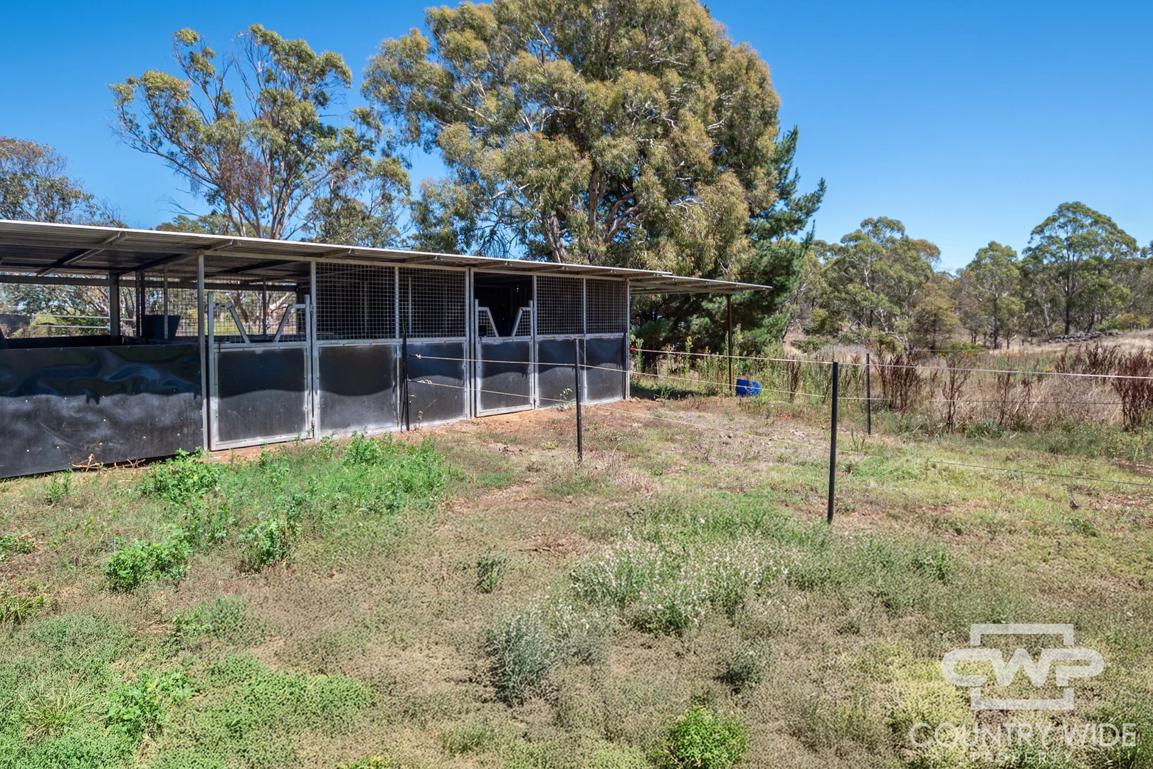 Additional image 25 of 19 Government Lane, Ben Lomond NSW 2365