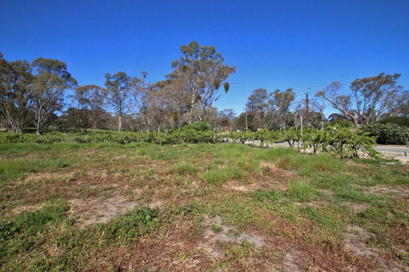 Lot 4 Horrocks Highway, Penwortham SA 5453, Image 2