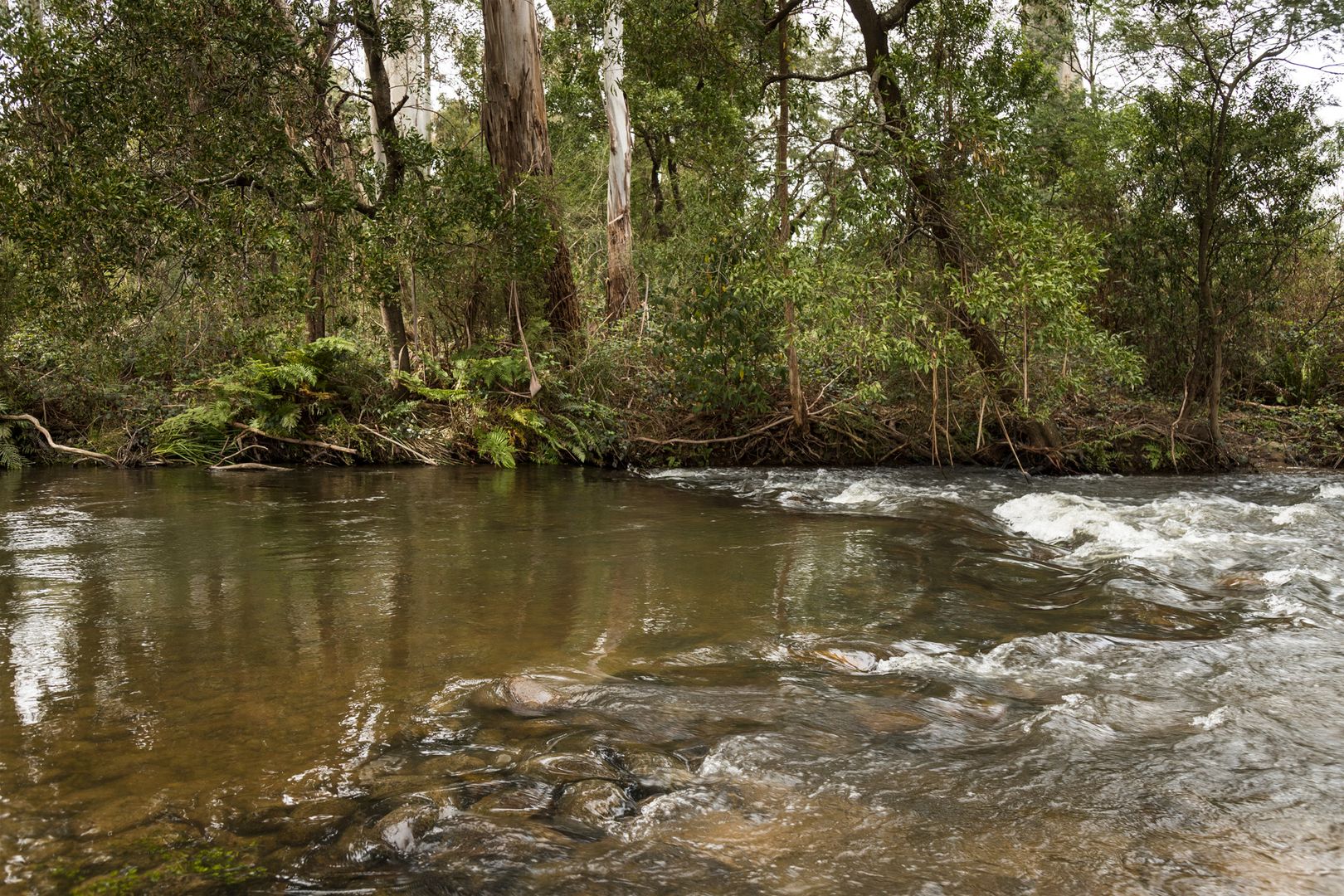 Taggerty VIC 3714, Image 1