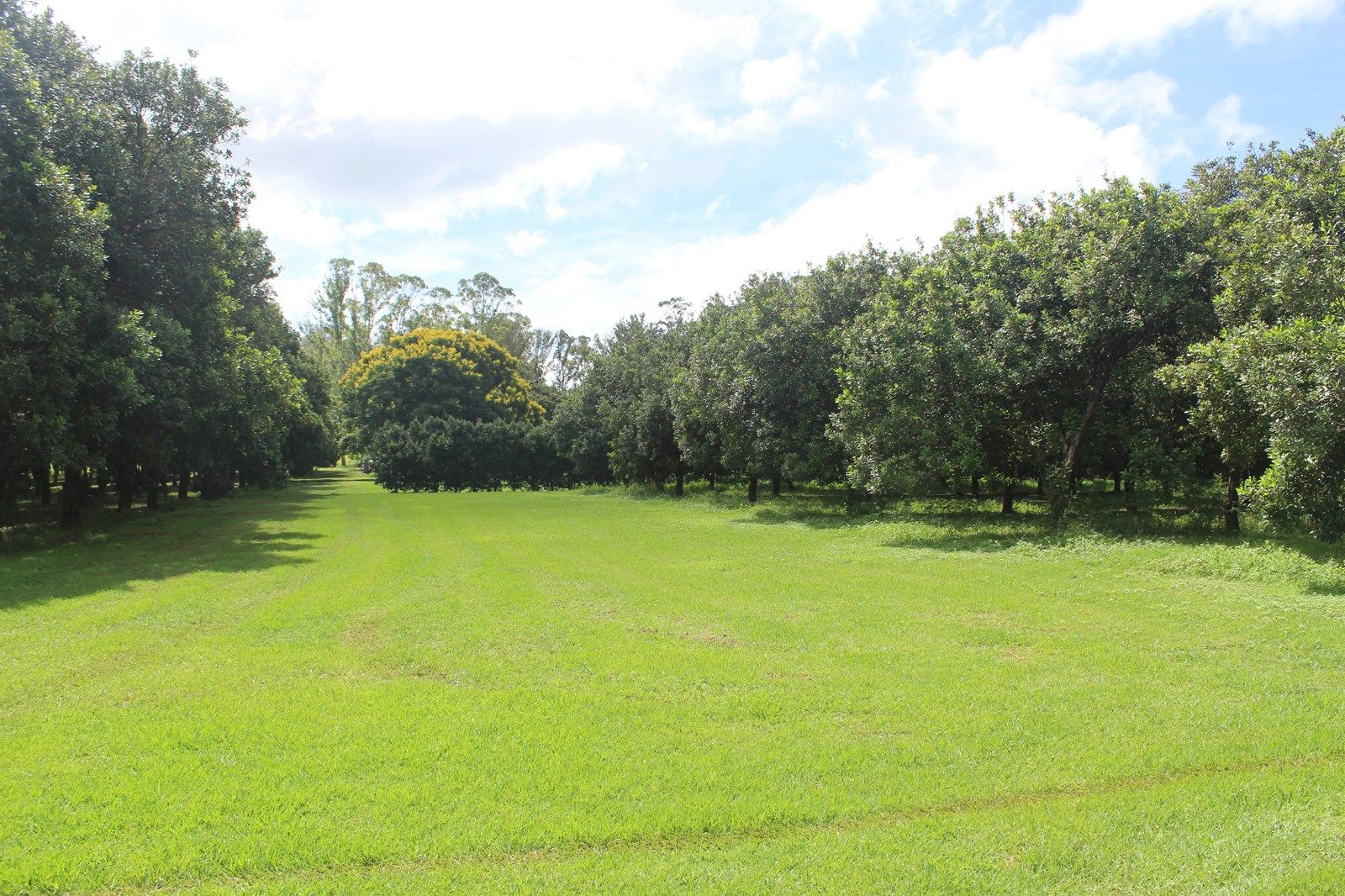 Lot 8/828 Fernleigh Road, Brooklet NSW 2479, Image 2