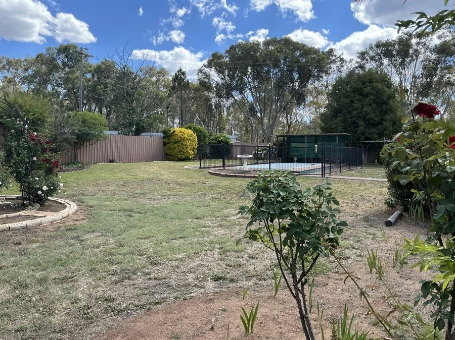 Image 12