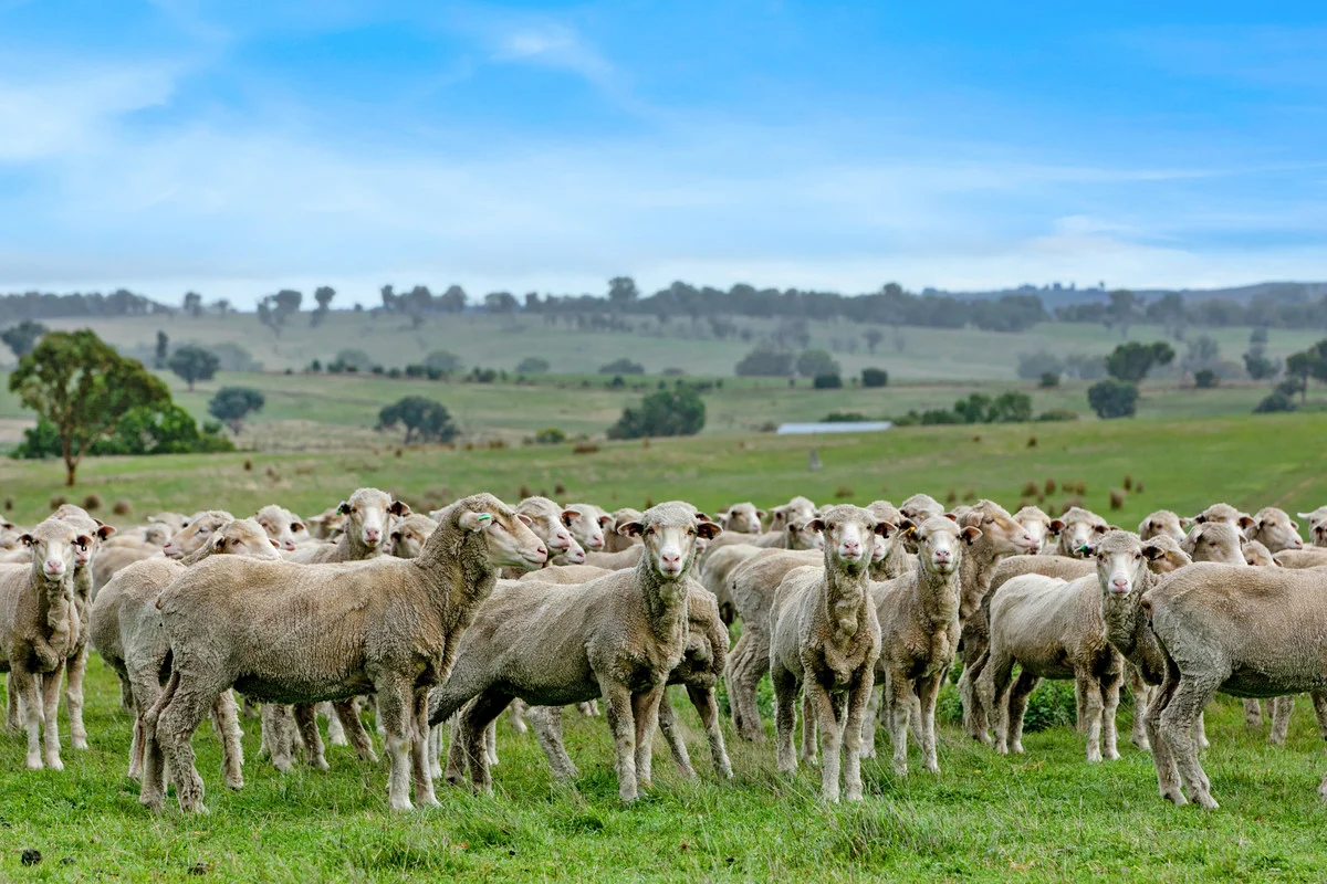 Additional image 3 of 396 Fullerton Road, Laggan, Crookwell NSW 2583
