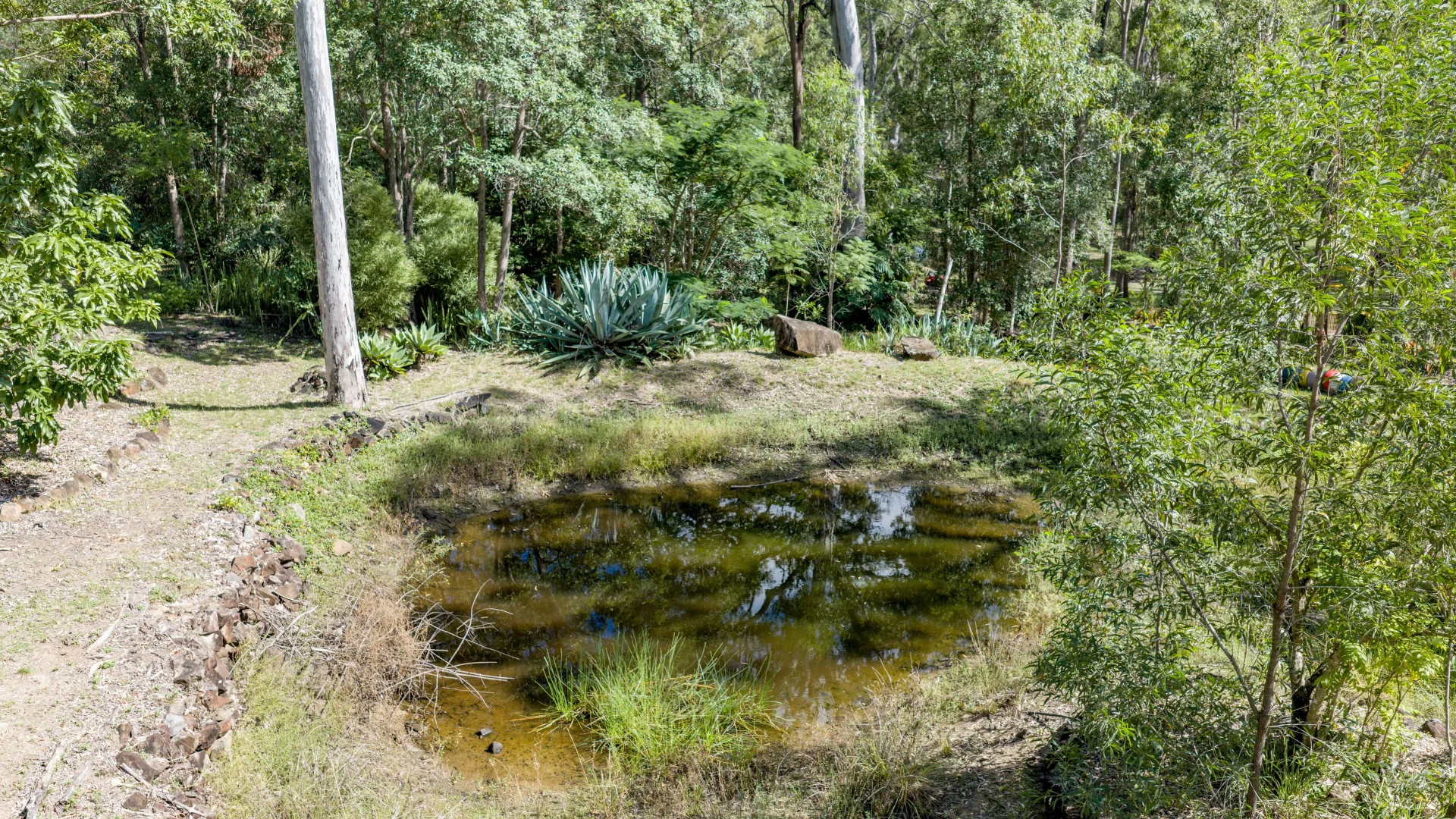 Image 13