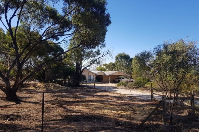 Picture of 195 CLARKE Street, MOORA WA 6510