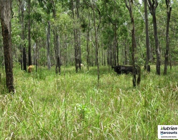 Lot 101 Wetherby Road, Mount Molloy QLD 4871