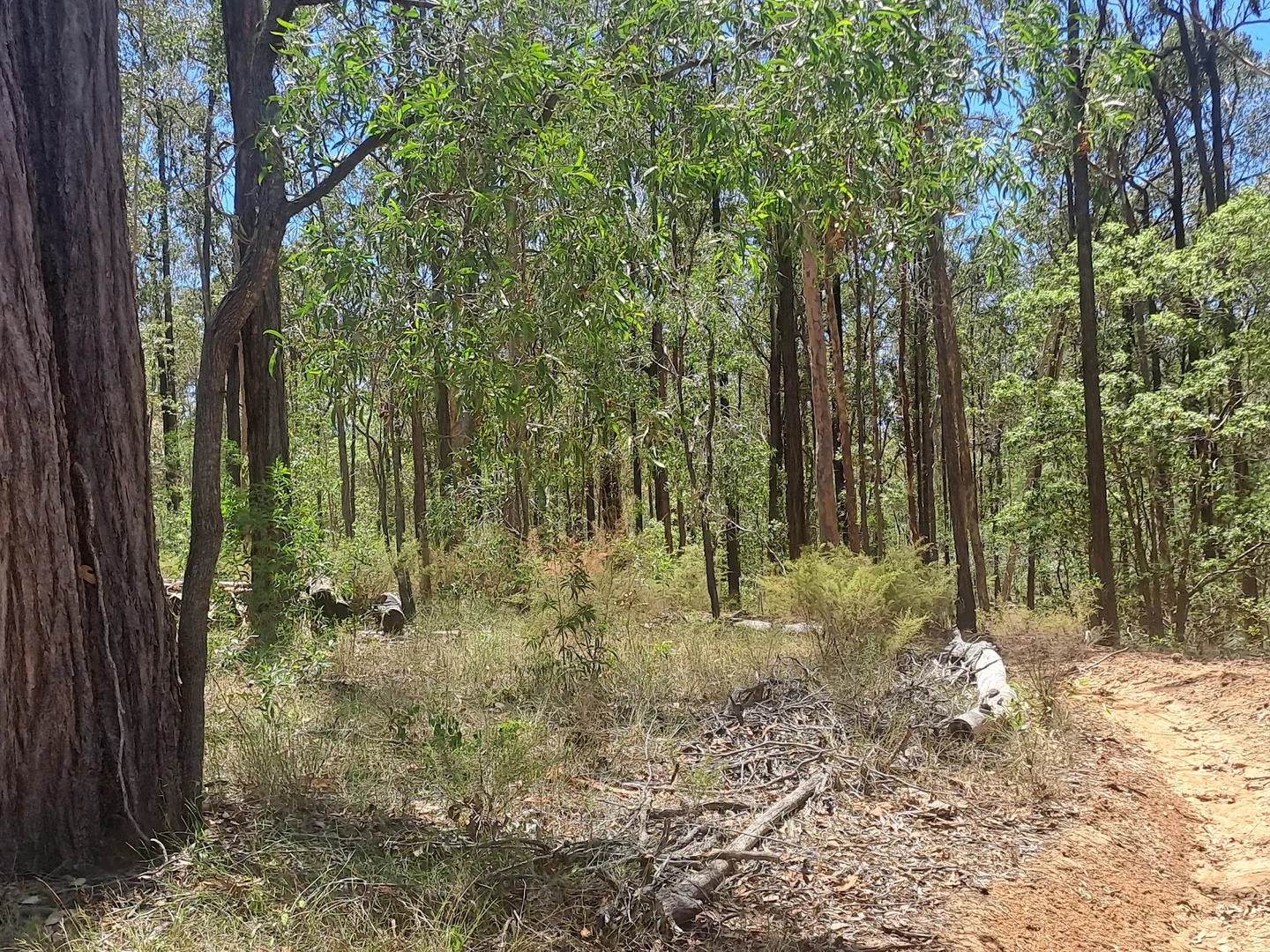 Additional image 8 of 215 Paterson Road, Paterson QLD 4570