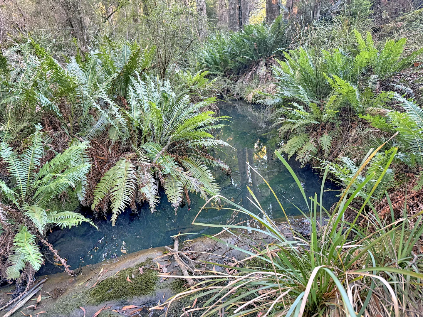 Additional image 15 of 577 Elephant Pass Road, Gray TAS 7215