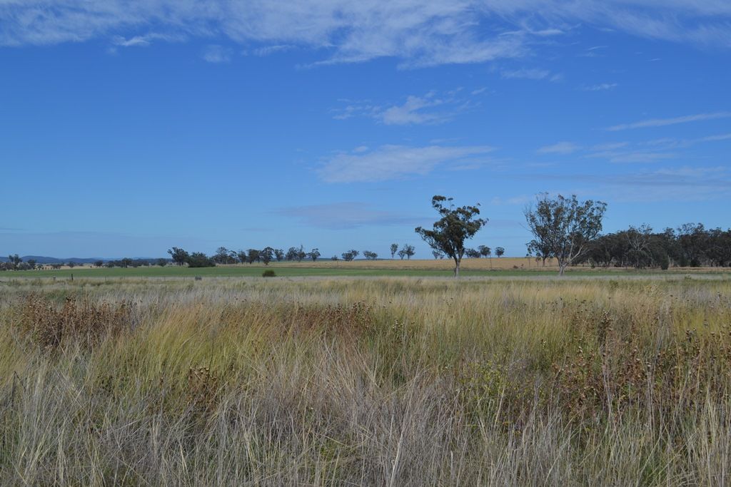 Lot 9,10,11 Adams Scrub Road, Delungra NSW 2403, Image 1