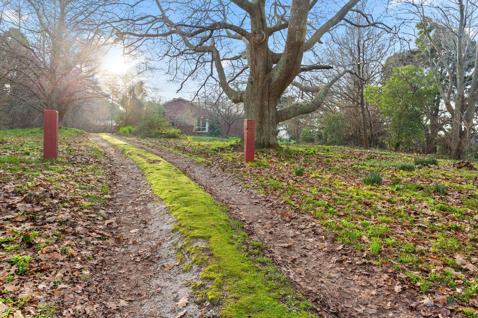 1 Main Street, Ringarooma TAS 7263, Image 1