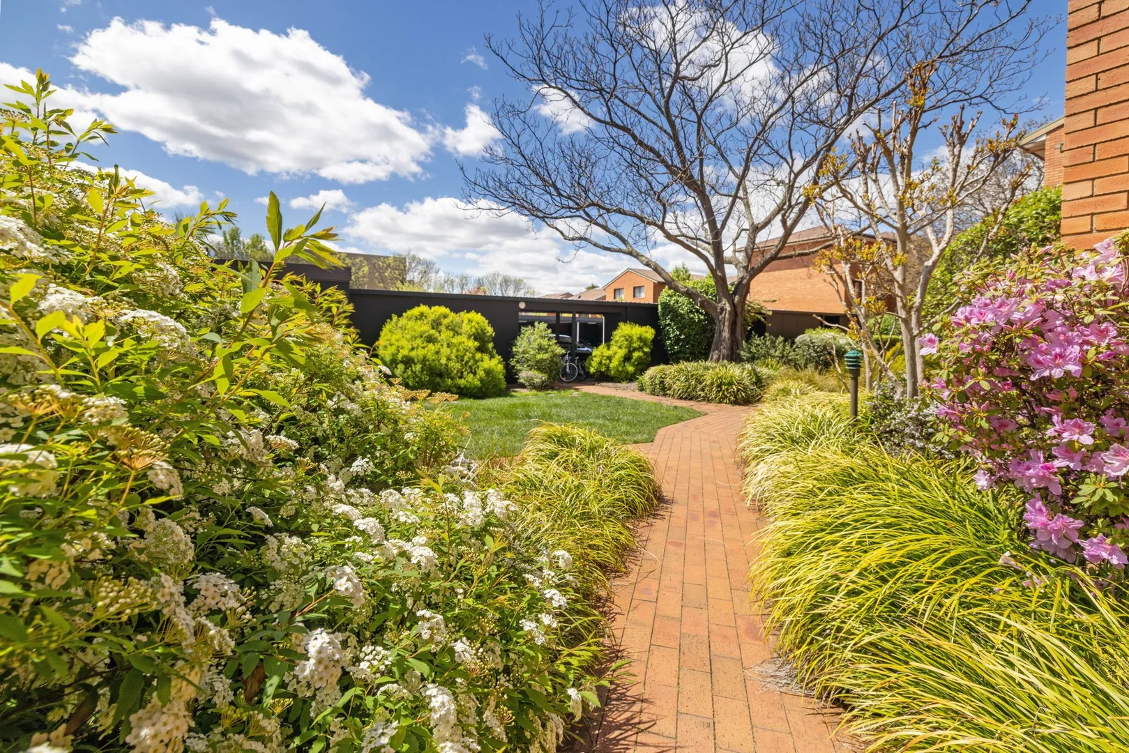 Additional image 10 of 9 Dawes Street, Griffith ACT 2603