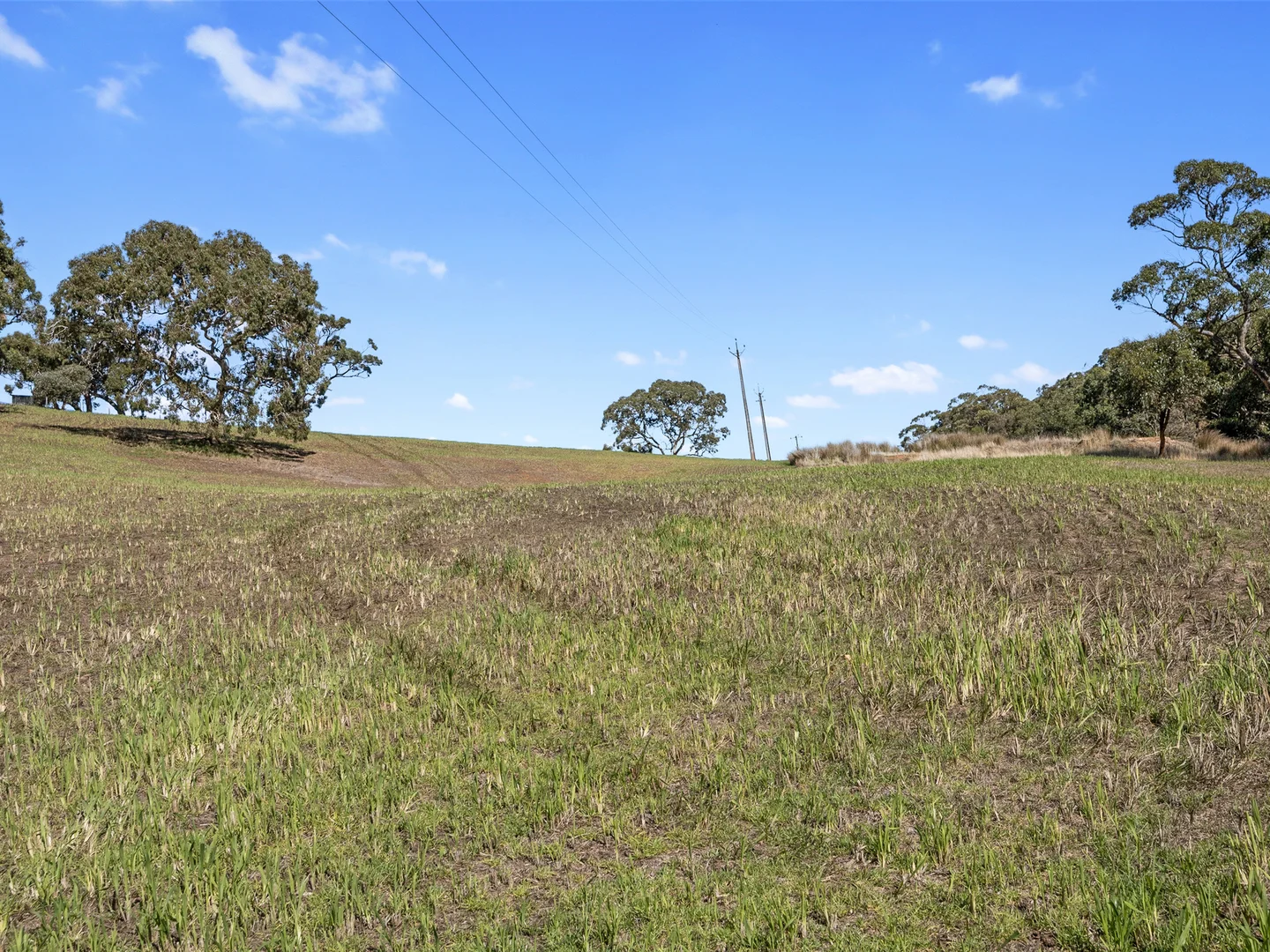 Additional image 31 of 1519 Hindmarsh Tiers Road, Hindmarsh Tiers SA 5202