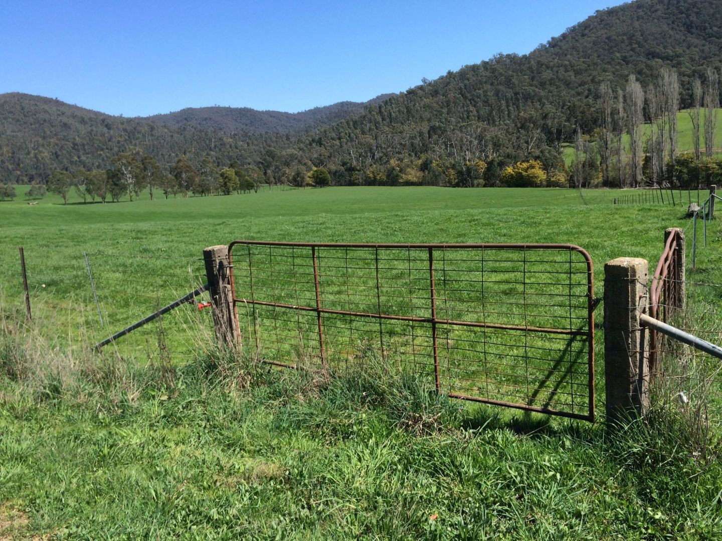 1990 Rose River Road, Rose River Property History & Address Research