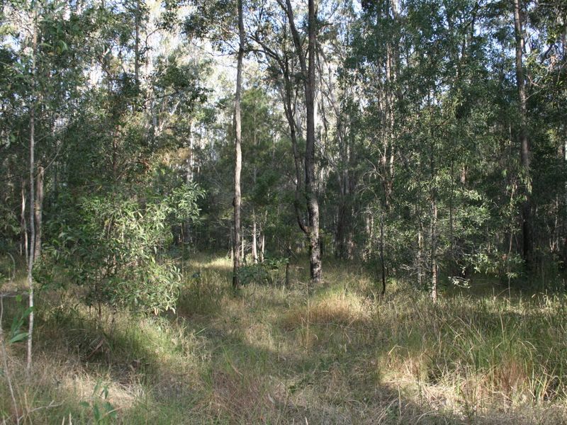 2 1475 Myall Creek Road, BUNGAWALBIN NSW 2469, Image 1