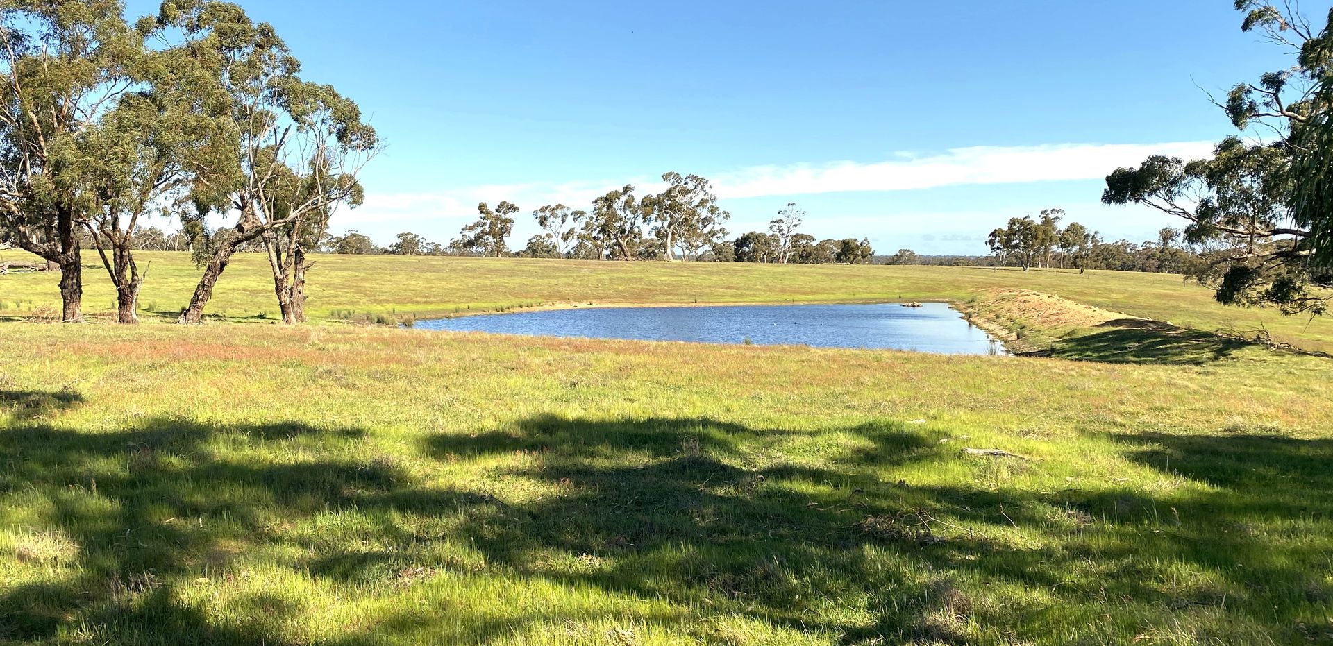 HarrowClear Lake Road, Harrow VIC 3317 House for Sale Domain