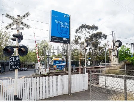 Additional image 6 of Rooms/227 Elgar Road, Surrey Hills VIC 3127